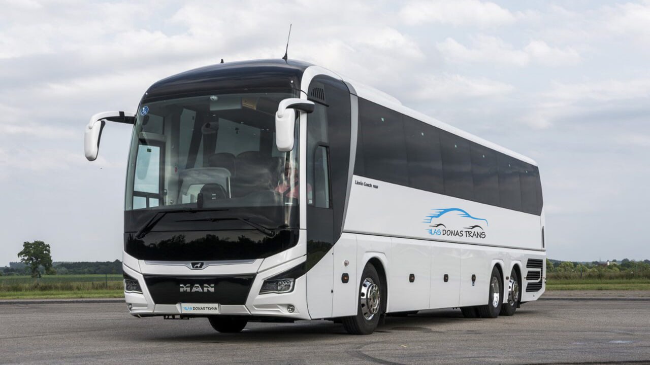 Man Lion's Coach